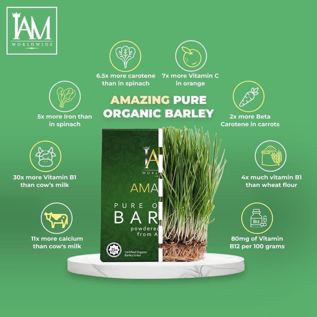 IAM Amazing Pure Organic Barley is 6.5 more carotene than in spinach, 7x more Vitamin C in orange, 2x more Beta Carotene in carrots, 4x much vitamin B1 than wheat flour, 80mg of Vitamin B12 per 100 grams, 11x more calcium than cow's milk, 30x more Vitamin B1 than cow's milk, 5x more Iron than in spinach
