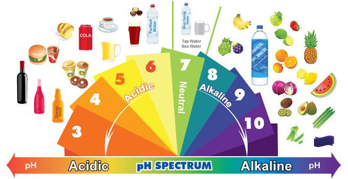 alkaline vs acidic food ph spectrum
