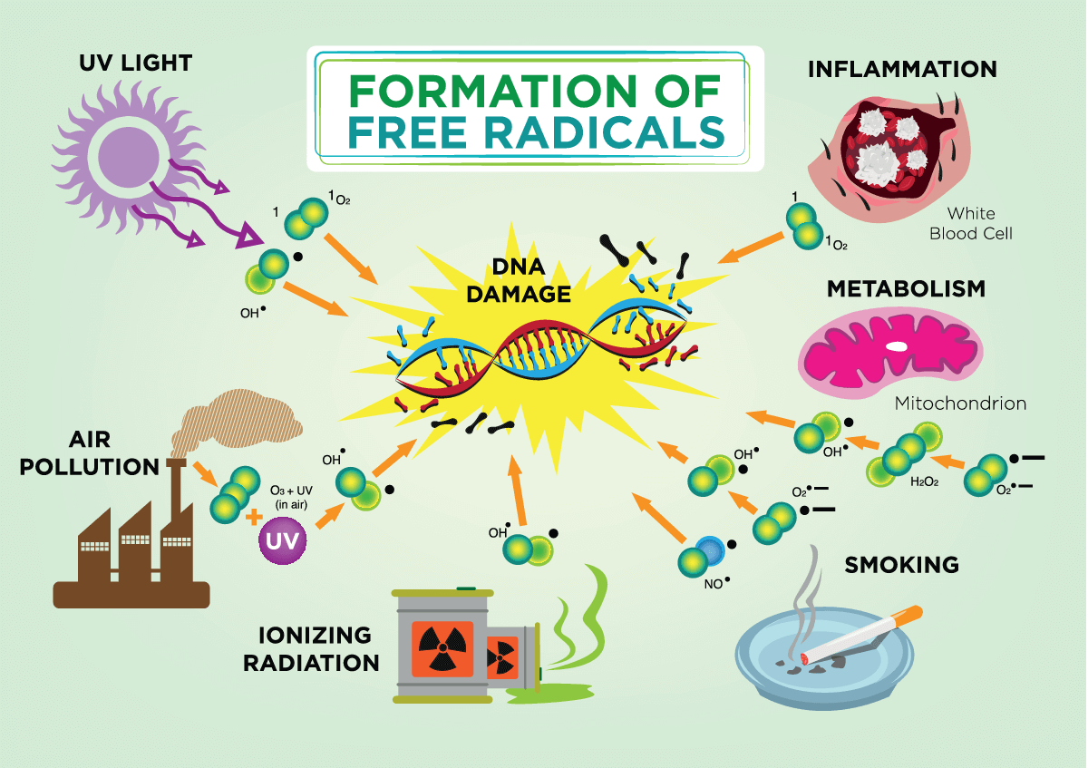 what are free radicals how is it form